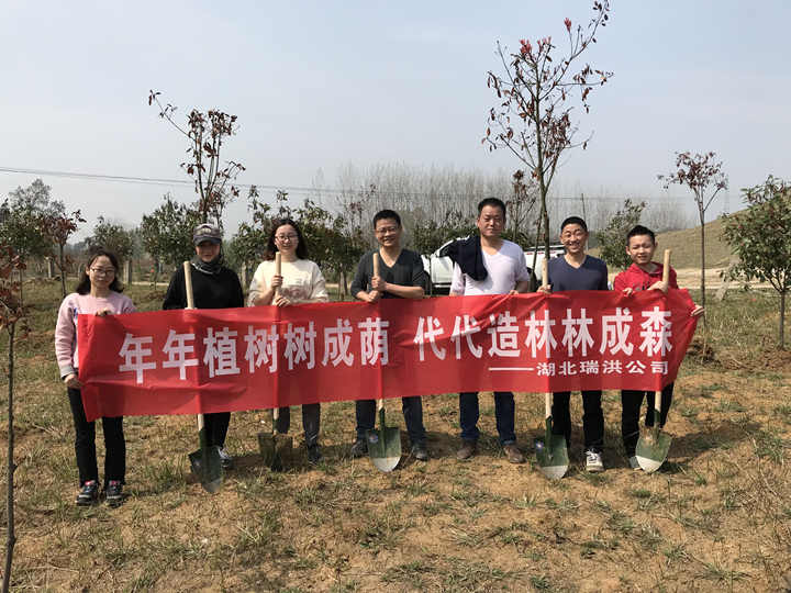 rb88在线官网:财政剖析陈述Word模板下载